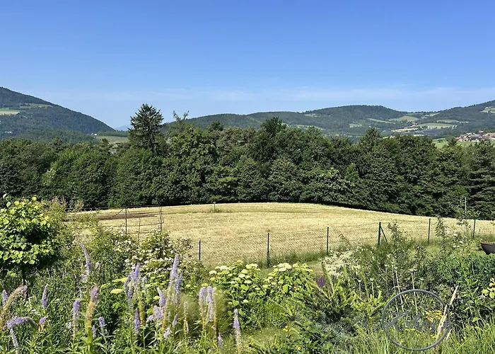 بيت للعطل Bernhard *